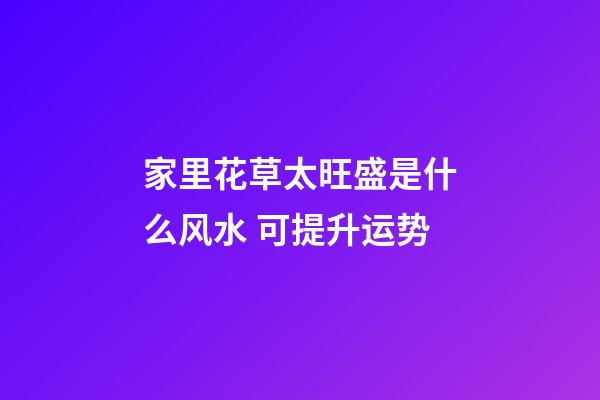 家里花草太旺盛是什么风水 可提升运势